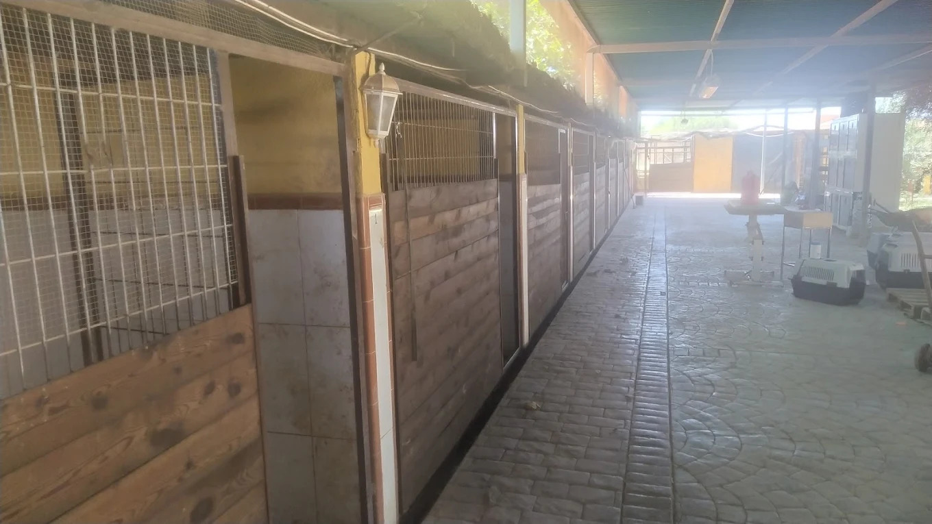 Residencia canina Lorca